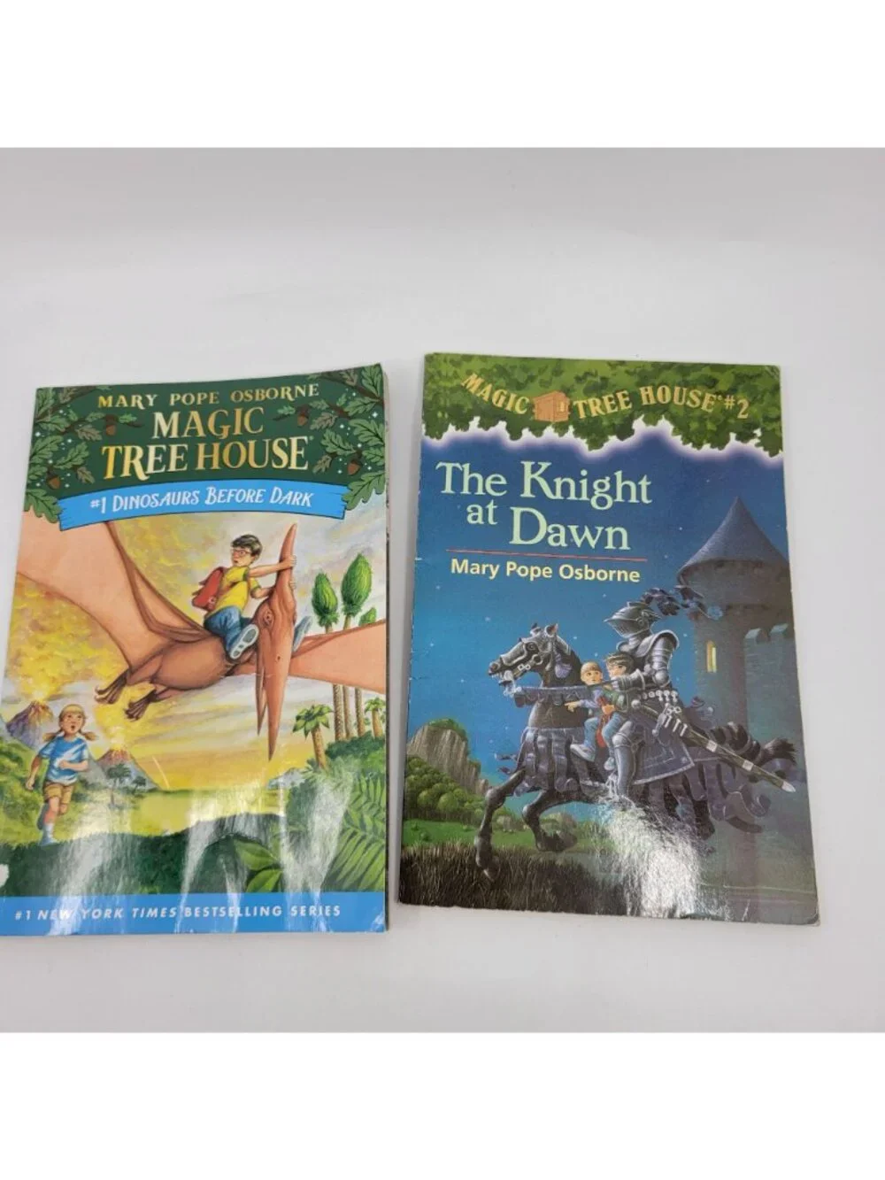 Scholastic magic tree